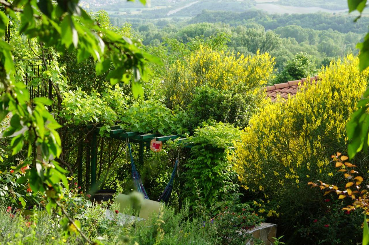 Le Balcon Villa Dallet Bagian luar foto